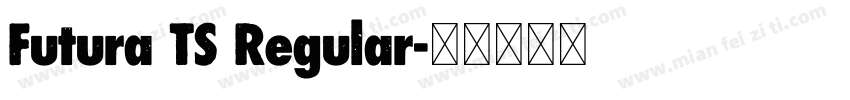 Futura TS Regular字体转换